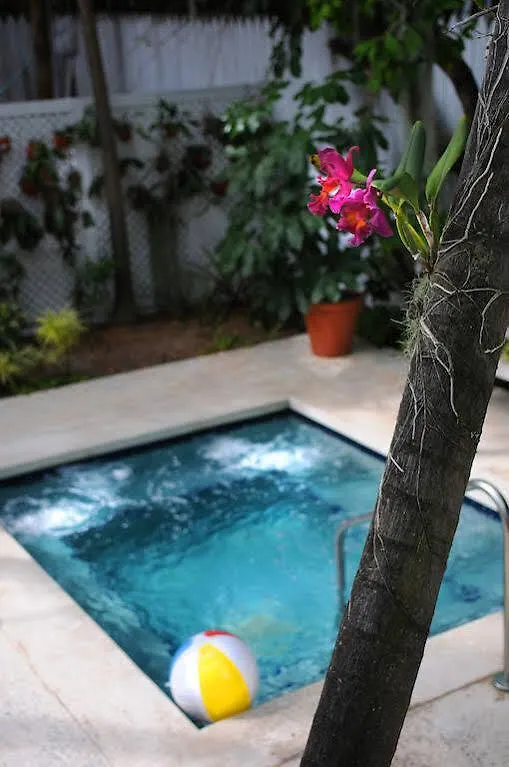 Bed and Breakfast Nyah - Adult Exclusive Key West 3*,